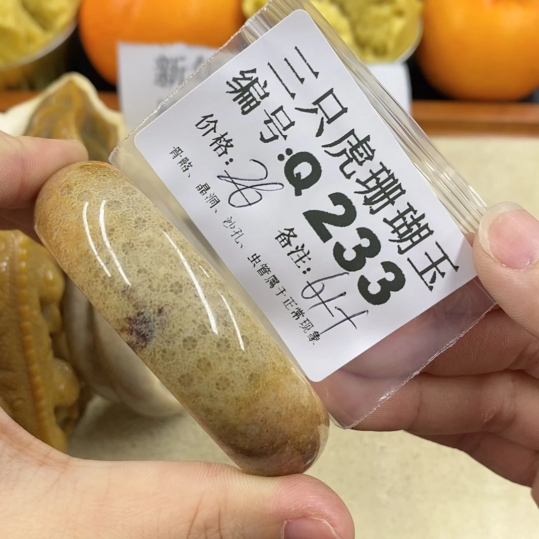 硅化珊瑚（珊瑚玉）1未镶嵌王*瑜