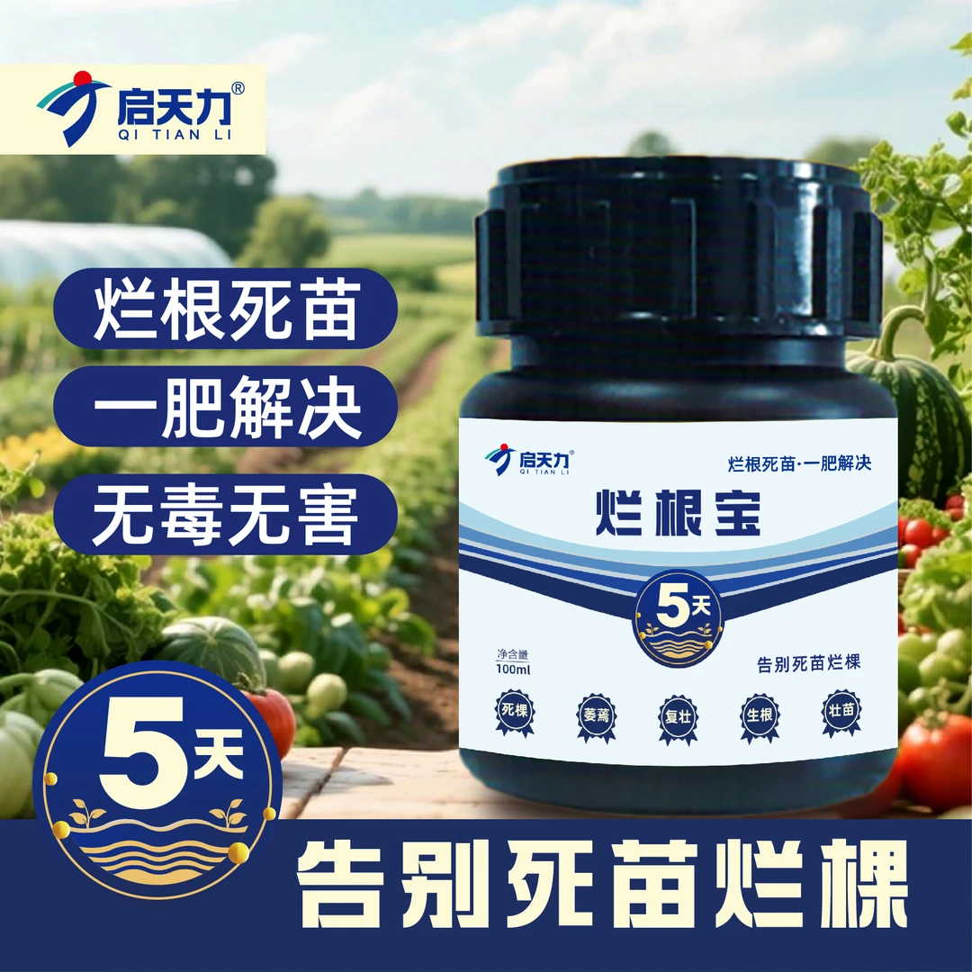 启天力烂根宝抗红根黑根的微生物肥助力植物茁壮成长提质增产