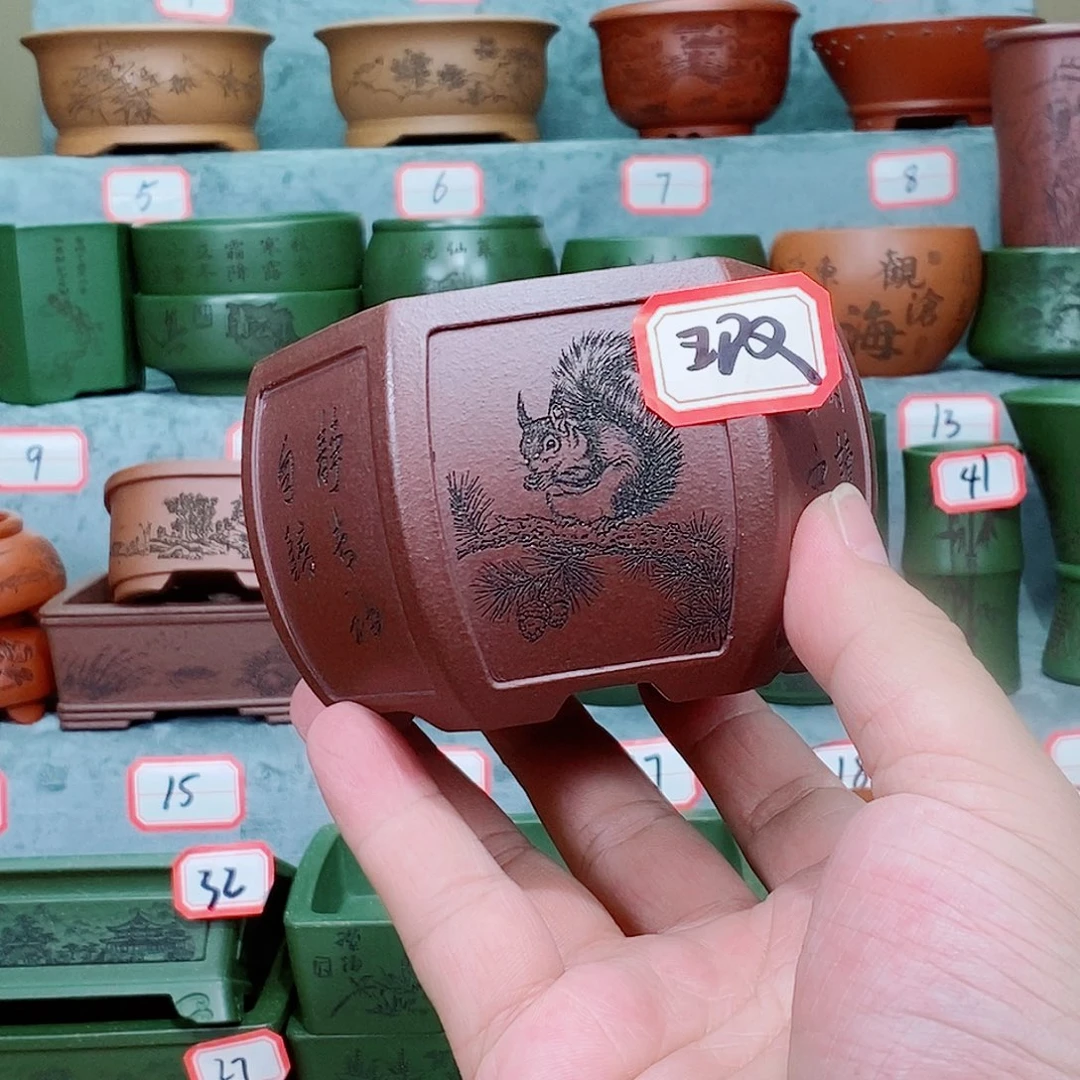 紫砂花盆我在看书