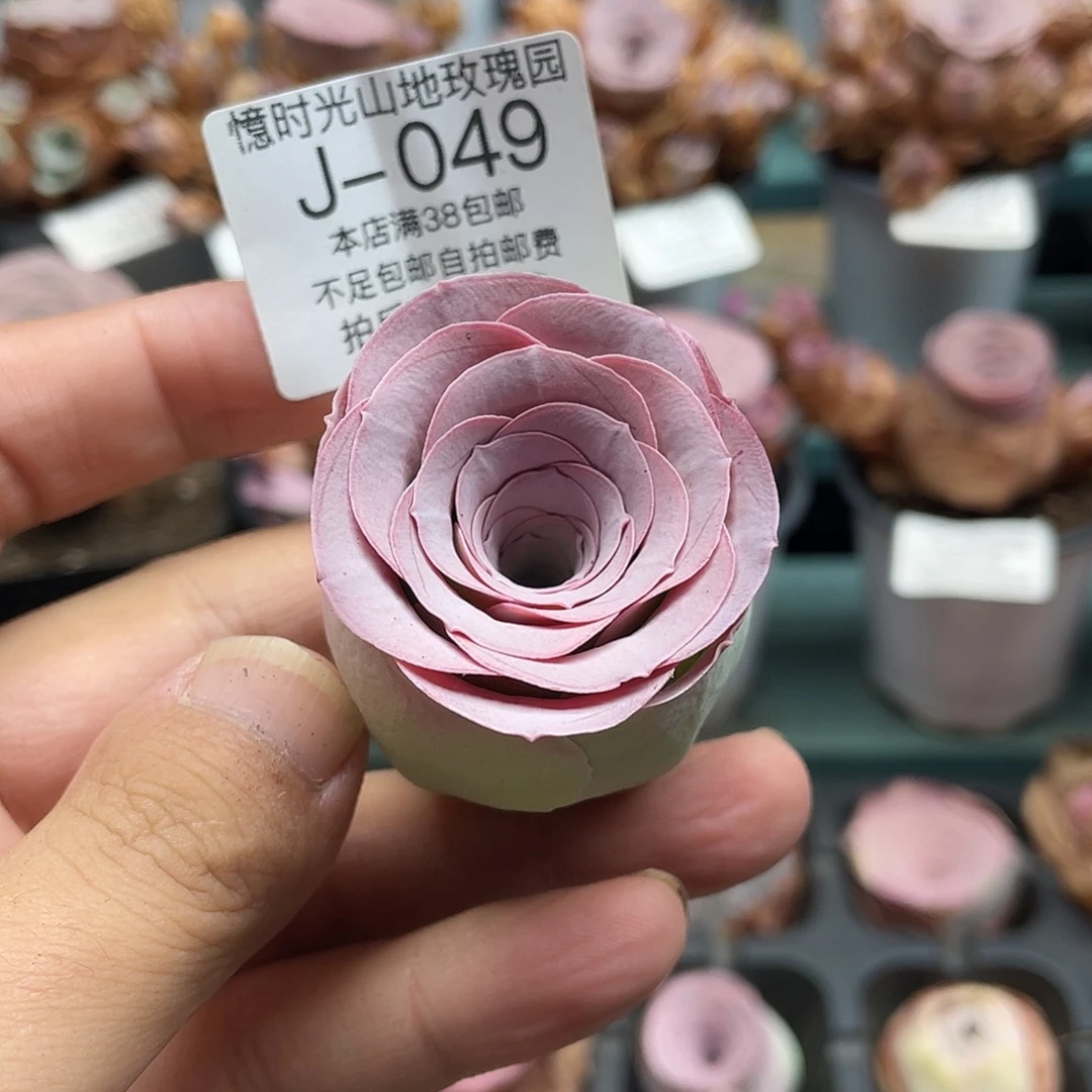 不知名福利049一物一拍