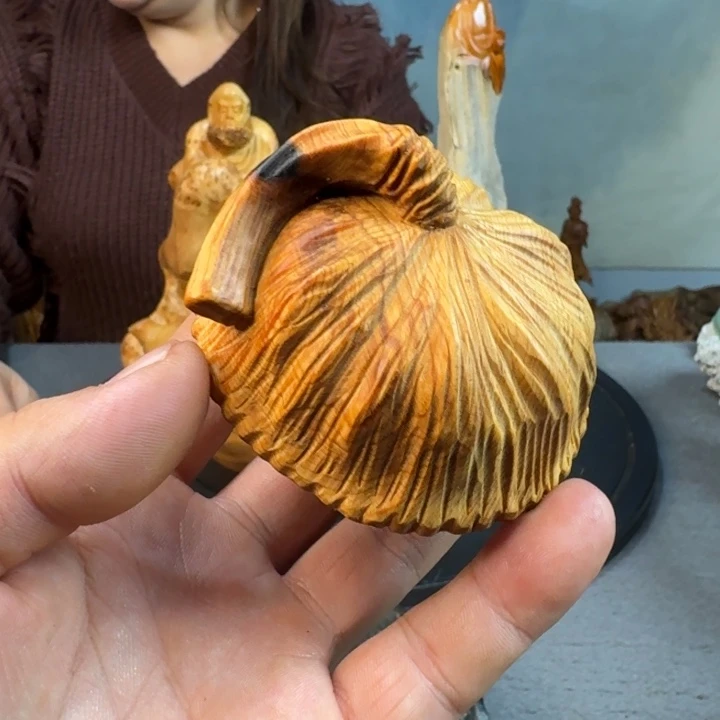 柏木（崖柏）太行崖柏