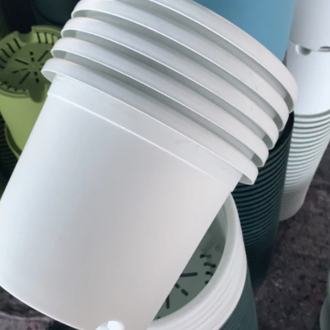 红陶2加奶白无托5个