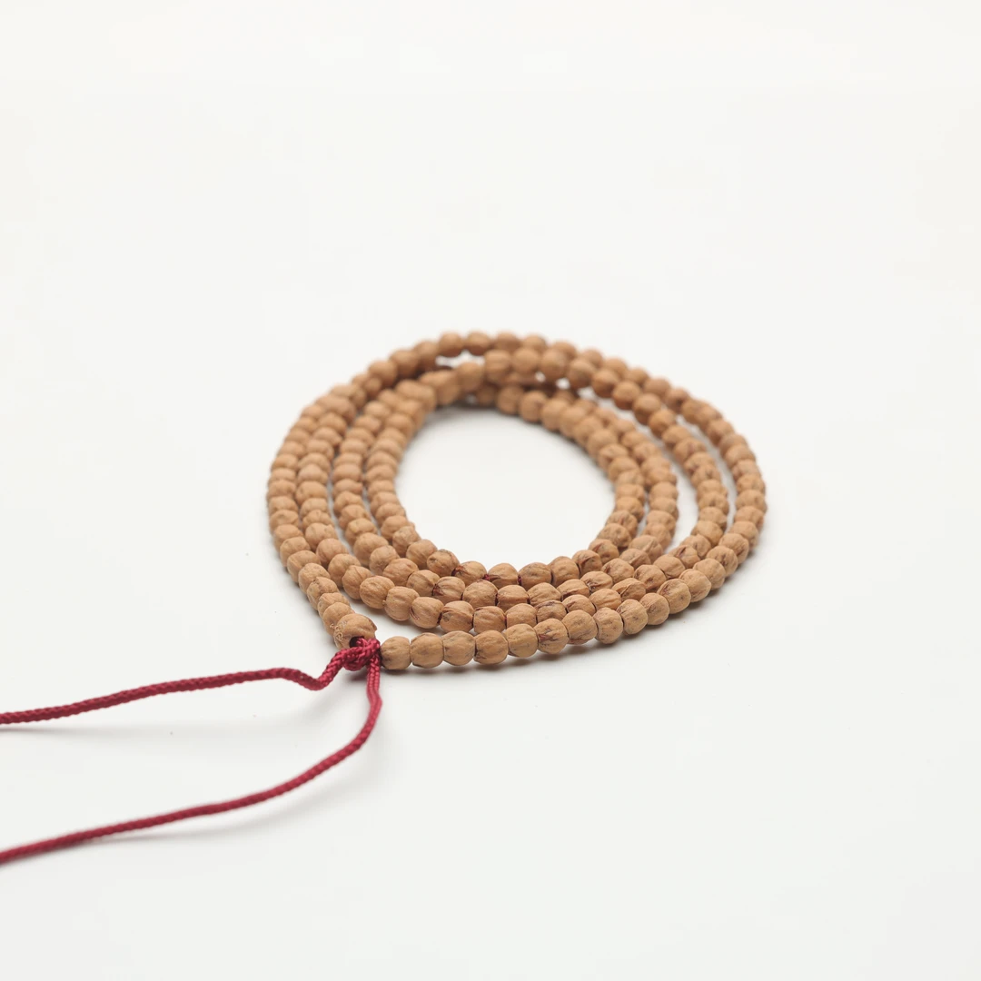 【Y307】柏香籽百香籽‘热籽’纯原桩红芽小金豆长串5mm左右