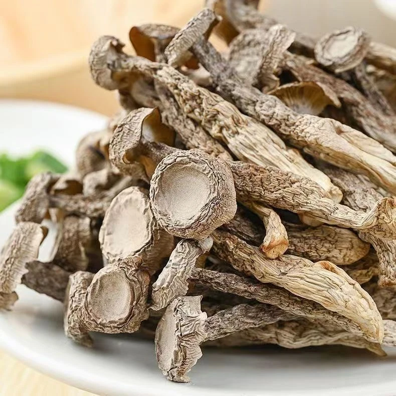 秦岭深山原产肉厚无熏硫鹿茸菇煲汤干锅爆炒美味食材