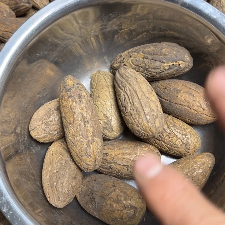 千眼菩提吊坠千眼菩提刷料小胖墩，10 个。
