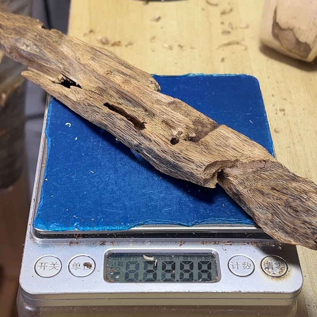 香料绿棋楠红骨凹身虫漏39克