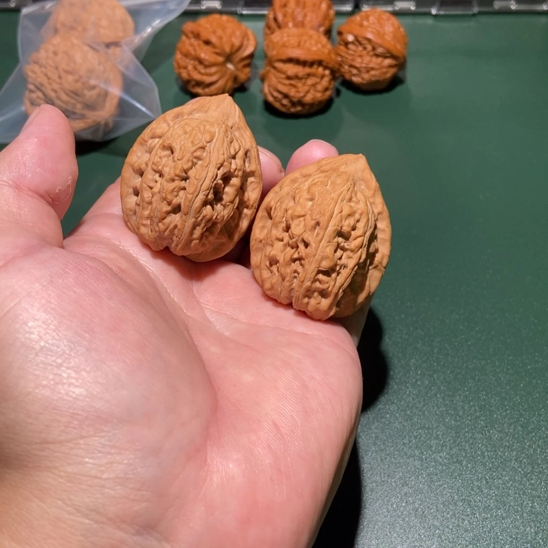 文玩核桃把件全品36正赤龙