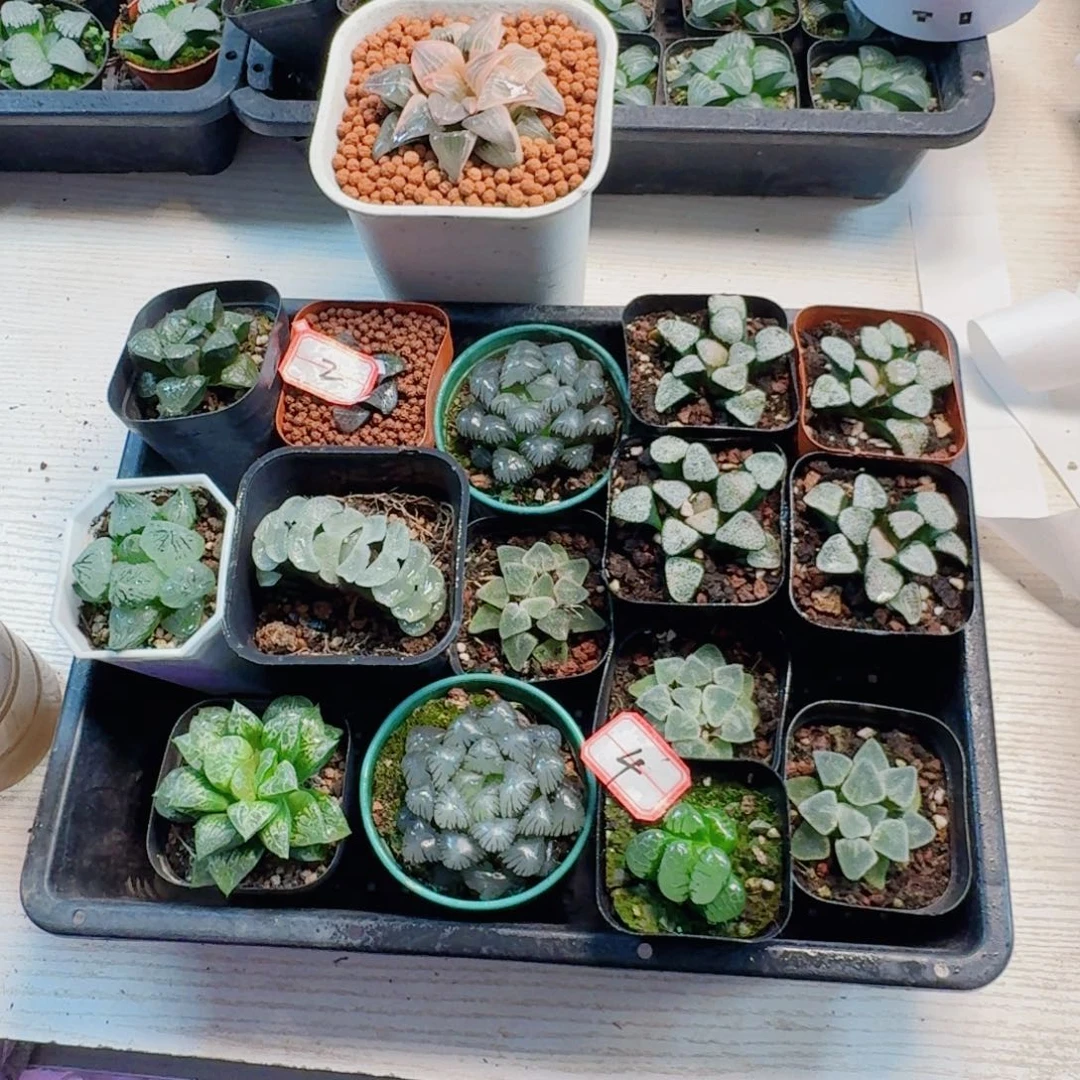 3***0十二卷 福利套餐 福利