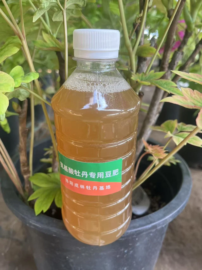 成林牡丹 氨基酸豆肥