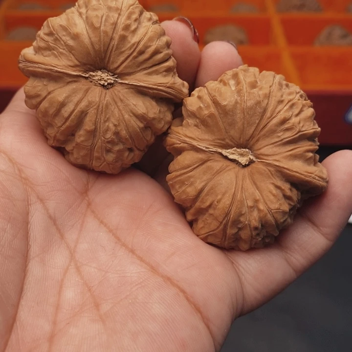 核桃南瓜46尺核桃