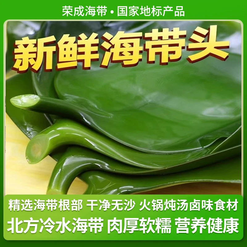(5斤批发)盐渍海带头荣成海带根肉厚新鲜食材凉拌炖汤炒菜火锅