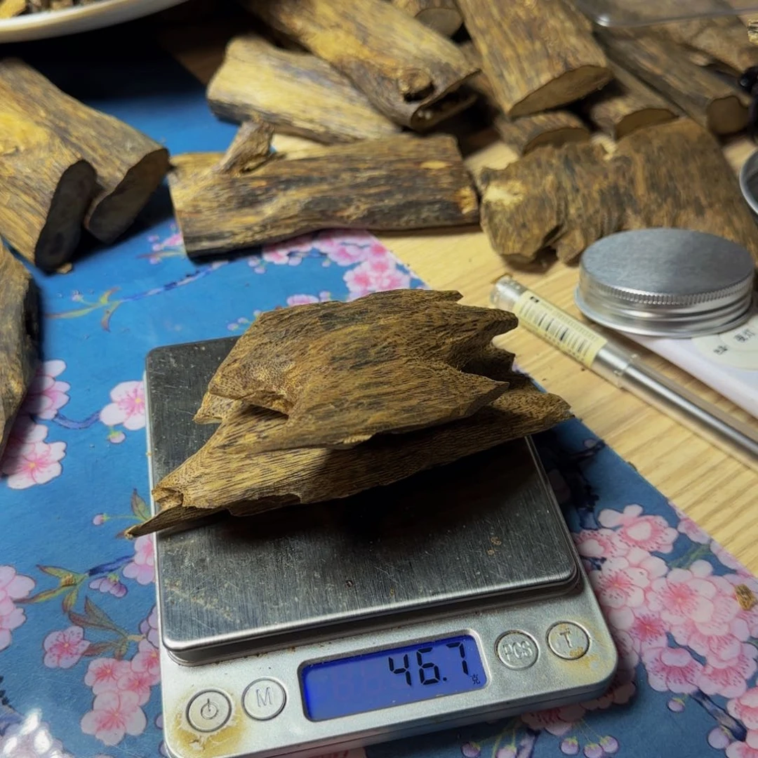 木F*y白奇奇楠老锯合46克