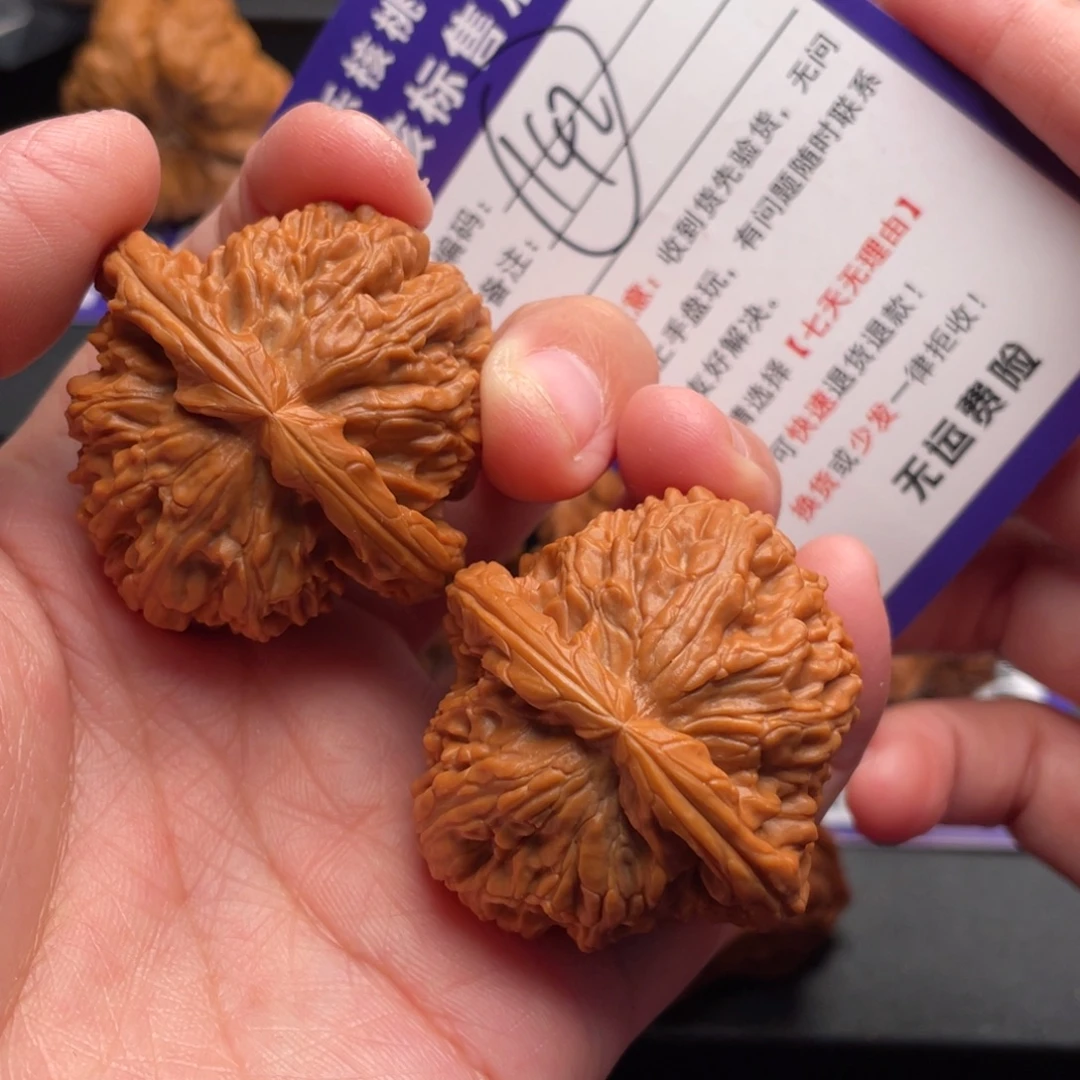 文玩核桃把件白狮子40➕