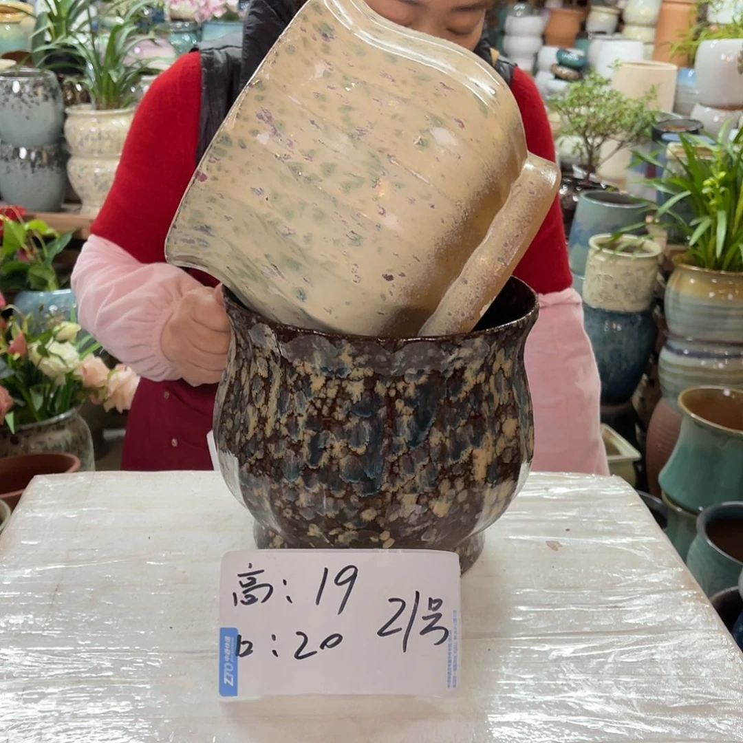 红陶高度19口径20