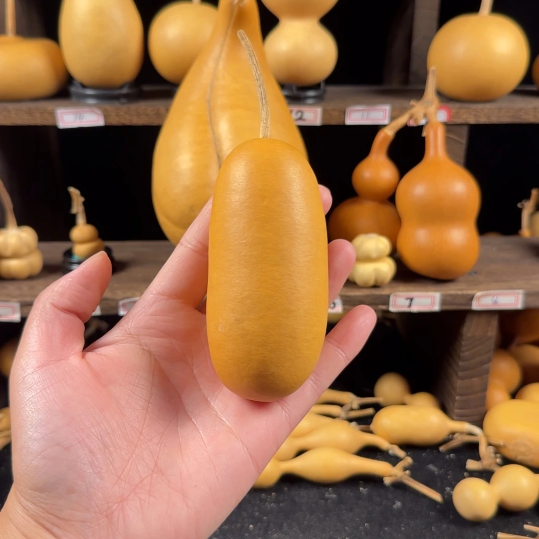 P***虾葫芦葫芦葫芦葫芦葫芦葫芦