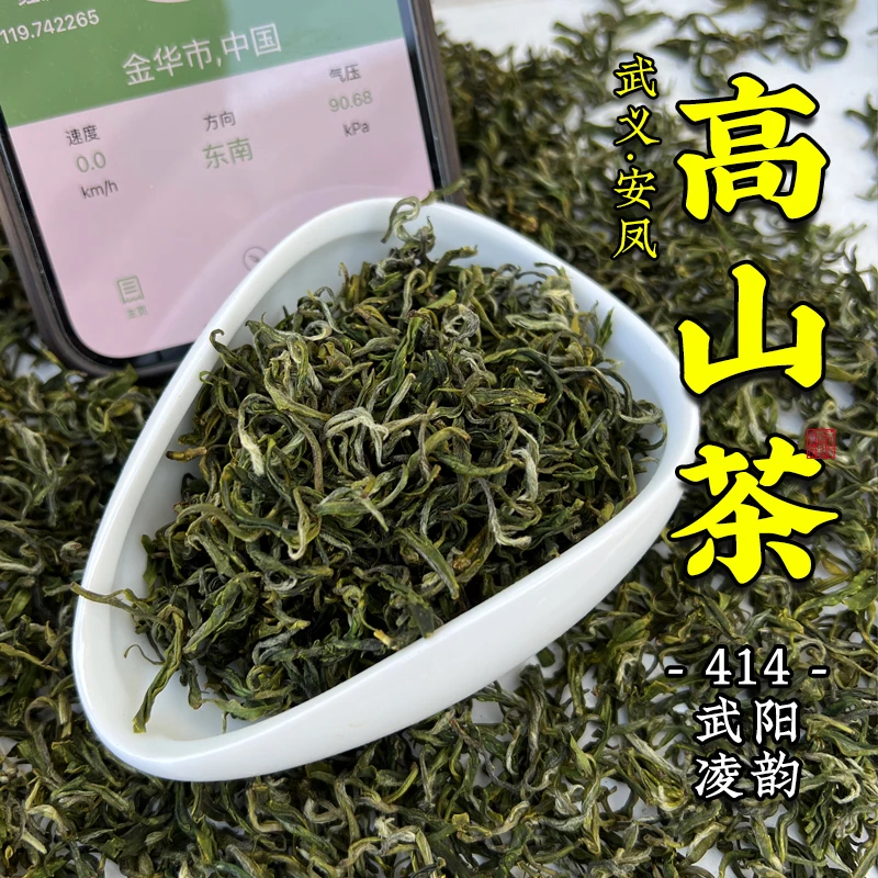 414武阳凌韵 群体种高山绿茶 2025新茶 茶香馥郁 茶汤清冽 70g