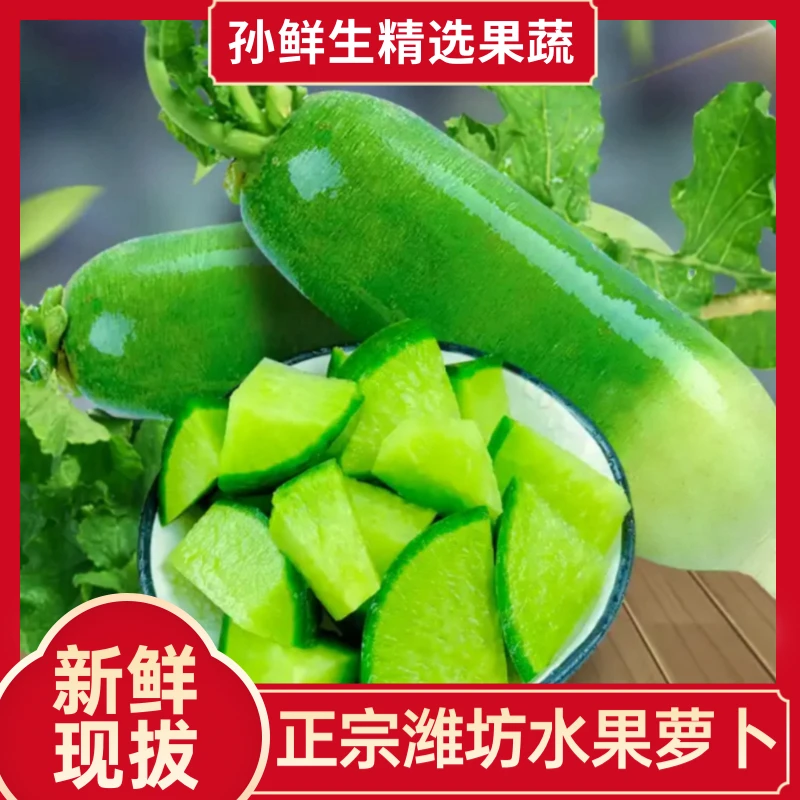 【清脆爽口】潍坊水果萝卜生吃脆甜微辣农产品青萝卜3/5/9斤包邮
