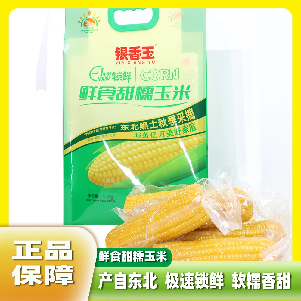玉米棒新鲜采摘东北黏苞米鲜食甜白糯玉米甜糯玉米玉米粒真空袋装