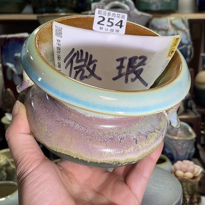 狼盆内口径10高度10