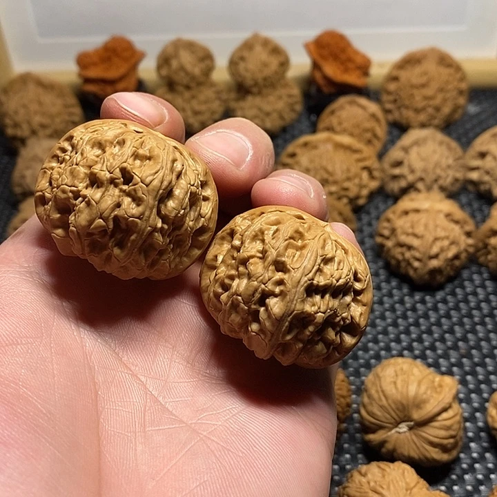 40尺寸白狮子把件023