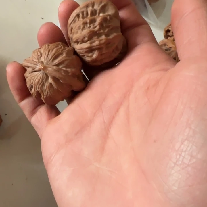 *****把件文玩核桃战鼓
