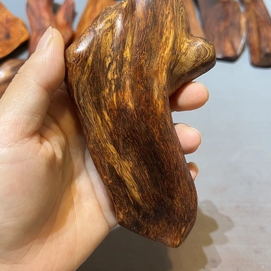 黄花梨/降香黄檀海南