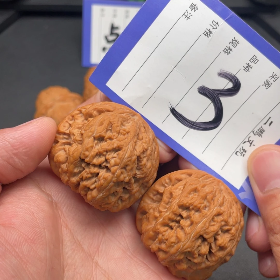 文玩核桃把件大粗筋42