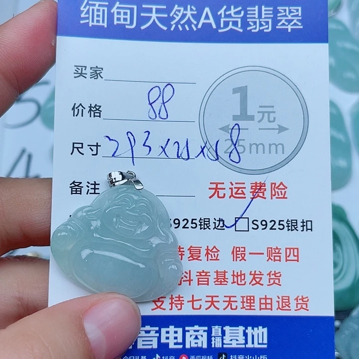 翡翠银S925镶嵌颈饰翡翠