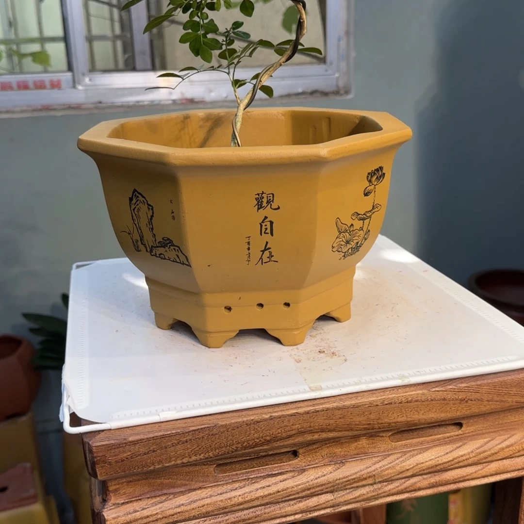 紫砂花盆紫砂口径27