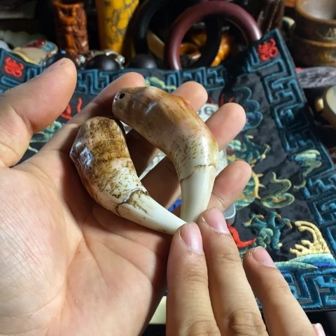 瓷片热*寻呼台的人也太多啦哈哈