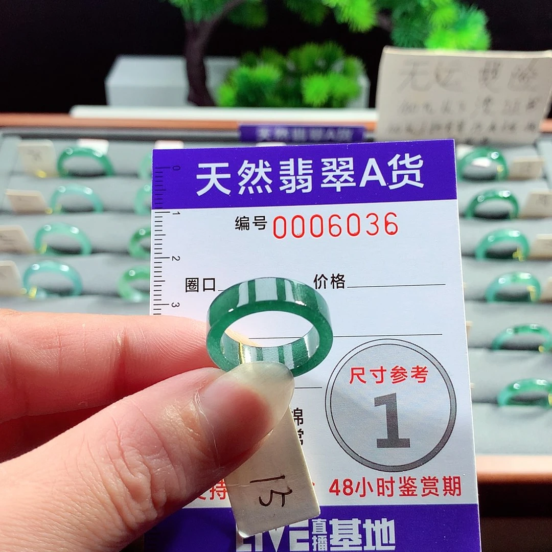 翡翠戒指未镶嵌15号