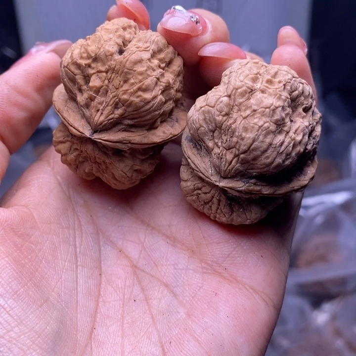 把件文玩核桃云南野生铁核桃139号40mm