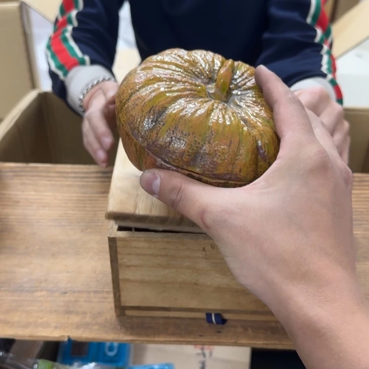 泽*哈哈哈哈哈哈哈哈