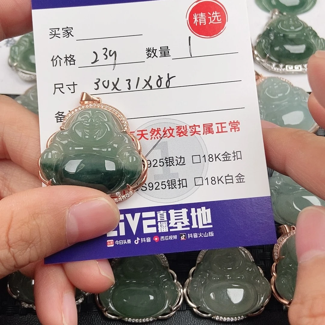 翡翠银S925镶嵌颈饰
