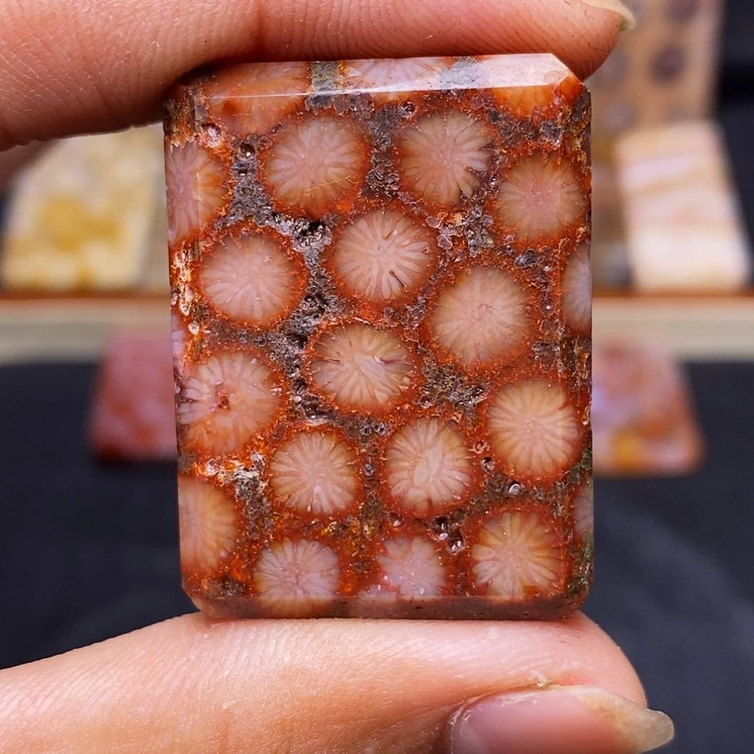 百***流硅化玉珊瑚玉合金
