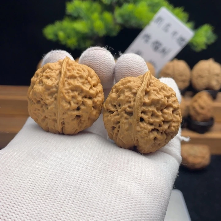 文玩核桃把件云南铁核桃61