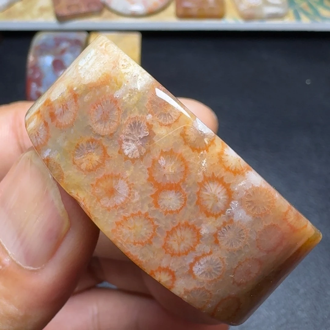 硅化玉纯天然色有机玉石保真色手镯芯未镶嵌