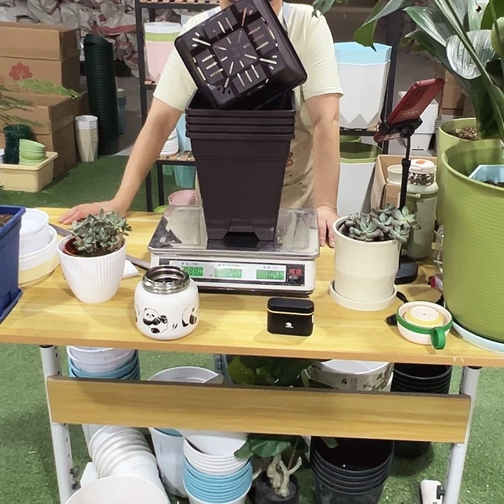 方盆口20高22紫砂无托5只