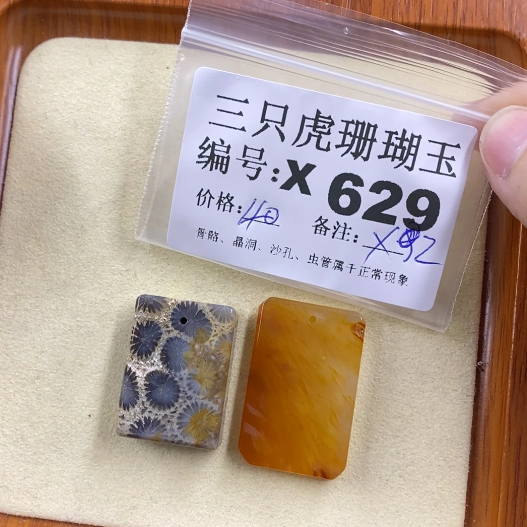 硅化珊瑚（珊瑚玉）1未镶嵌G*