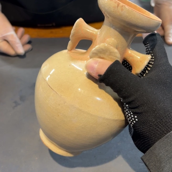 大***树瓷片拾六家的瓷器瓷器