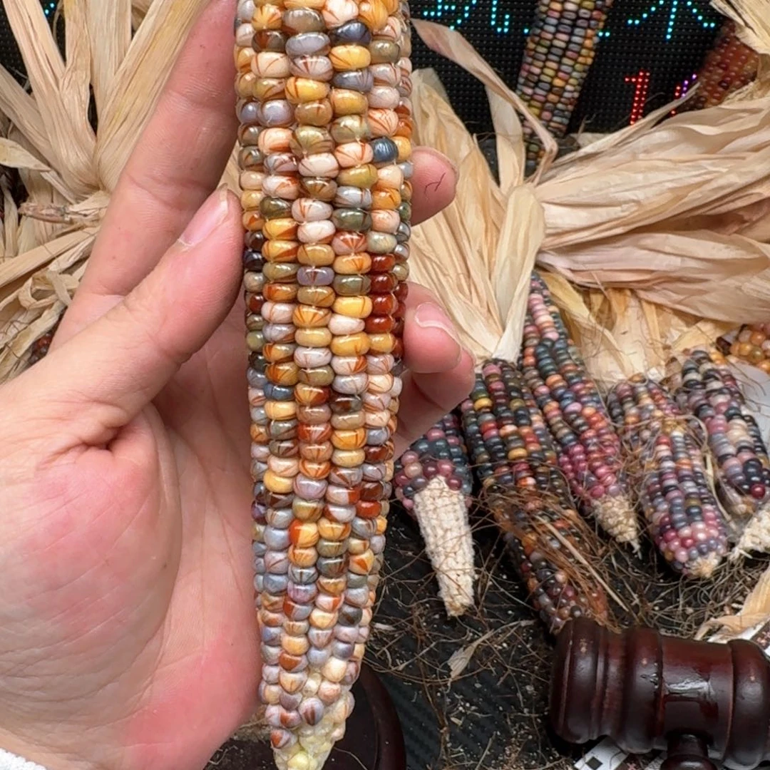 柏香籽/百香籽吊坠泳*