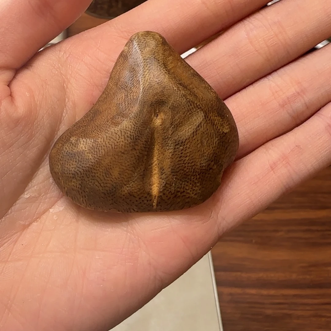 沉香沉香碎屑海南小包头8.7克