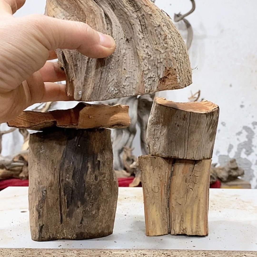 【闪购商品】柏木新*仔我们都是好孩子