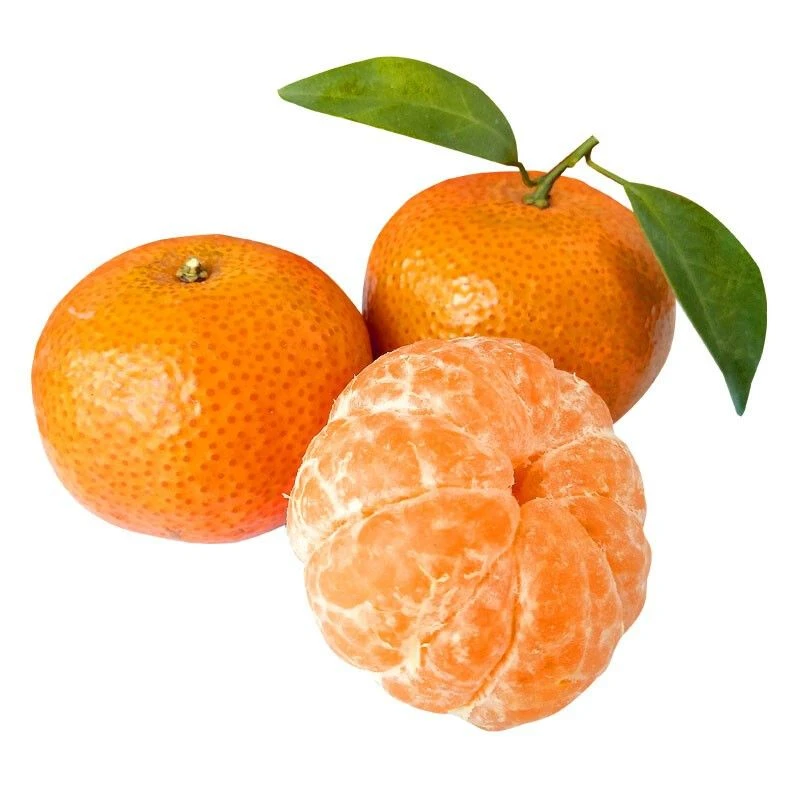 金秋沙糖桔500g/份