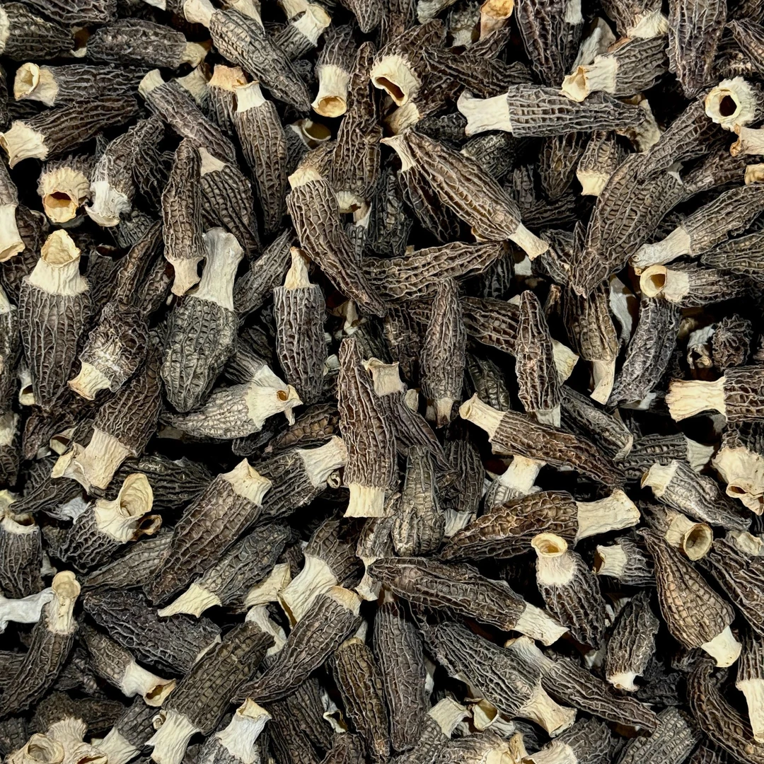 517360手选羊肚菌干菌菇