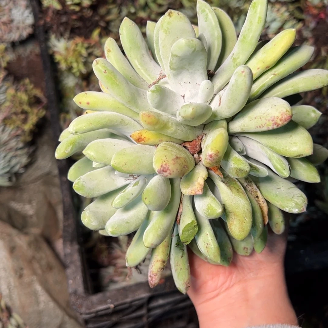 1634哈哈哈哈哈哈哈哈哈