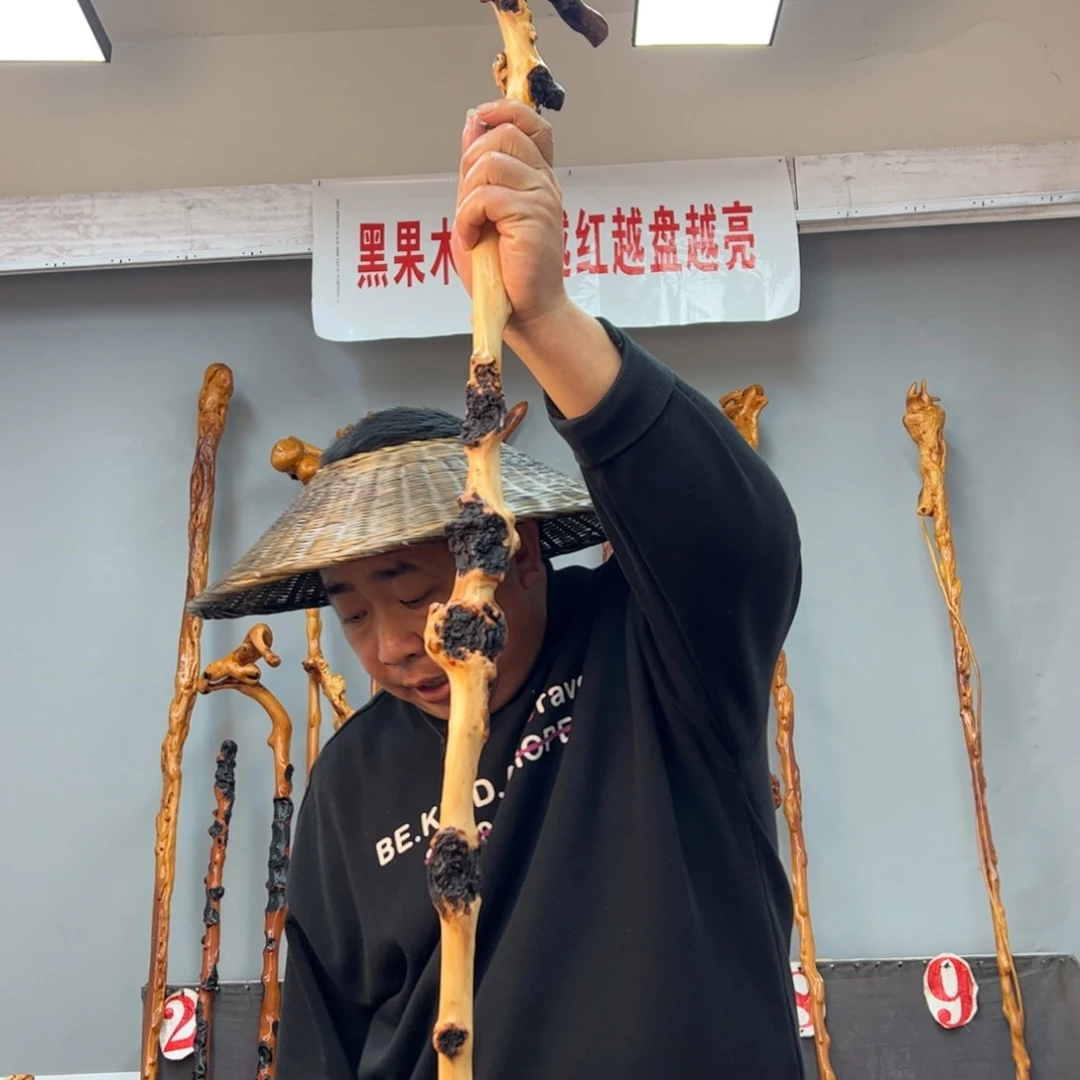 黑果木其他黑果木596