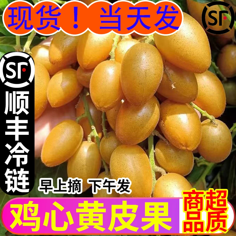 【顺丰冷链】广东鸡心黄皮果/冰糖黄皮/无核黄皮双拼组合