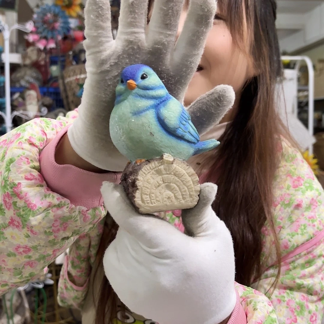 核桃木/黑胡桃（胡桃木）