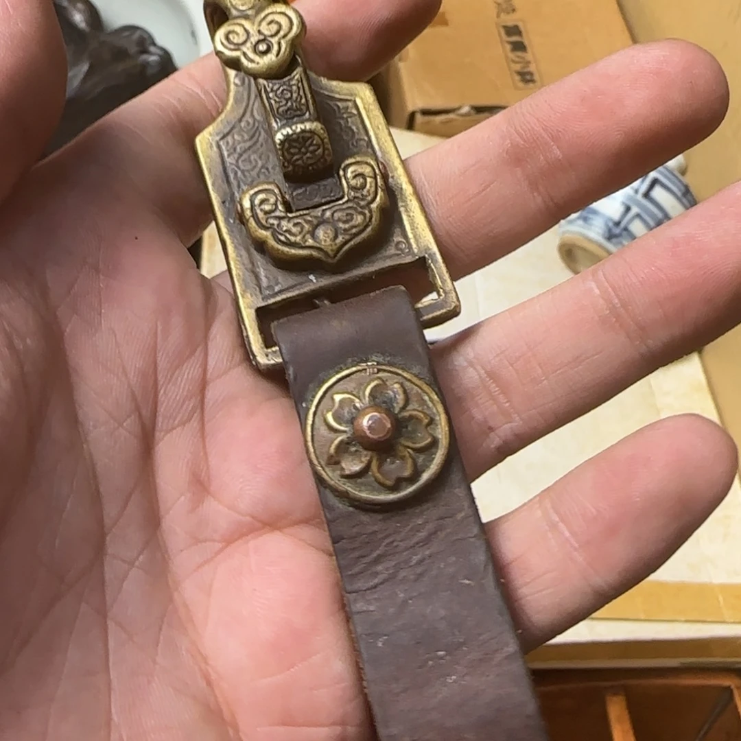 随*如图所示所拍即所得